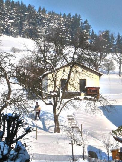 Hotel-Gasthaus Steiger Gräfenthal Εξωτερικό φωτογραφία